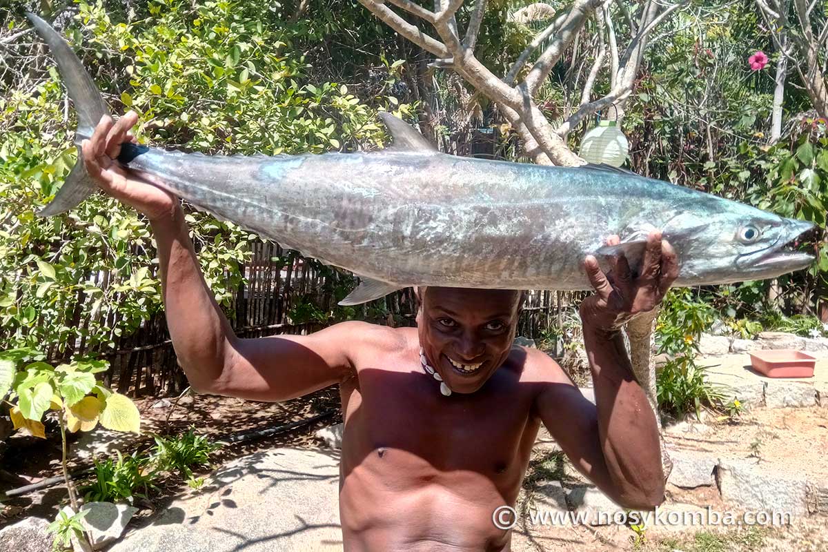 chasse sous marine joe langouste