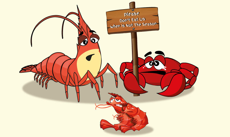 shrimp_recommendations_en