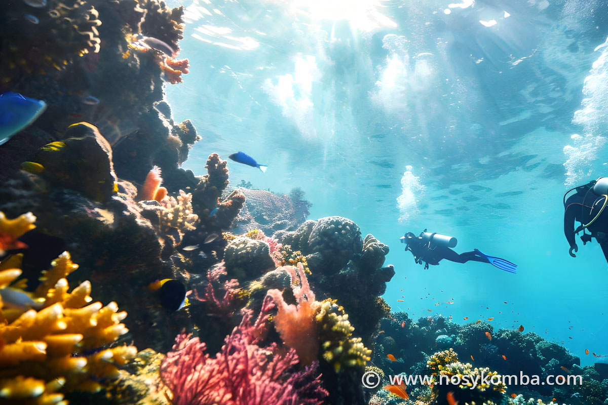 Scuba diving