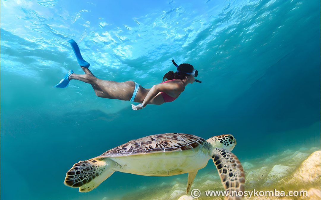Snorkeling in Nosy Be
