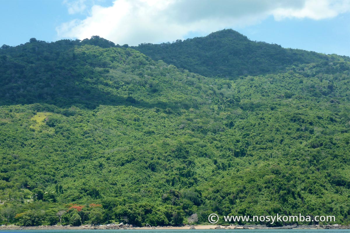 The top of the island